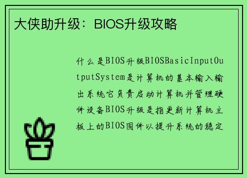 大侠助升级：BIOS升级攻略